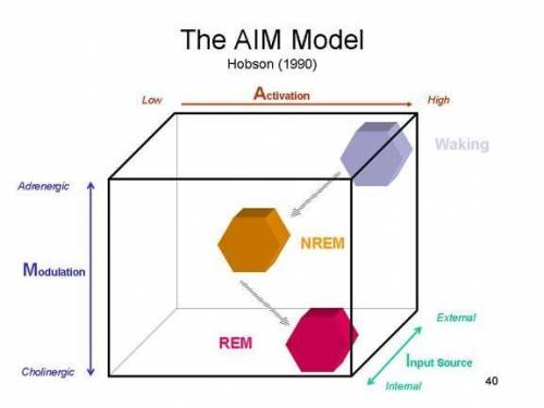 In the biological theory of dreams, the three-dimensional AIM cube depicts all states of consciousne