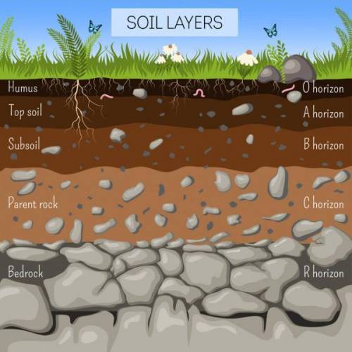Which of these substances would a soil layer close to the surface least likely contain? A. sand B. h