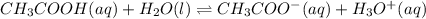 CH_3COOH(aq)+H_2O(l)\rightleftharpoons CH_3COO^-(aq)+H_3O^+(aq)