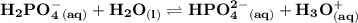 \mathbf{ H_2PO_4^-_{(aq)} +H_2O_{(l)} \rightleftharpoons HPO_4^{2-}_{(aq)} +H_3O^+_{(aq)}}