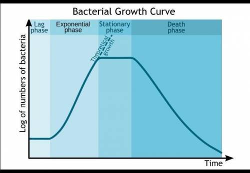 ⚠️⚠️URGENT⚠️⚠️ How might the graph change if the environmental conditions of the bacteria suddenly c