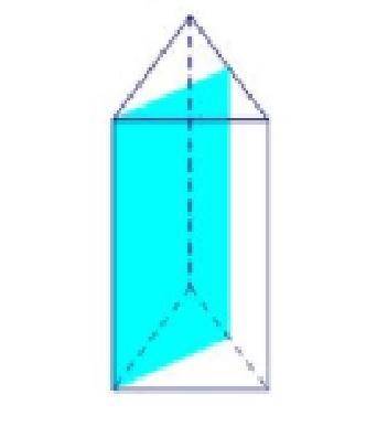 A triangular prism was perpendicular to its bases and through a vertex. What is the shape of the cro