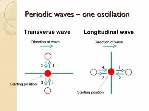 What is the difference between pulse and periodic waves, and what is the difference between transver