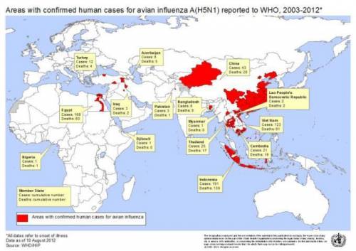 In what regions of the world can avian influenza be found today? Who is most at risk of getting it?