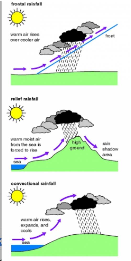 Difference between the three types of rainfall