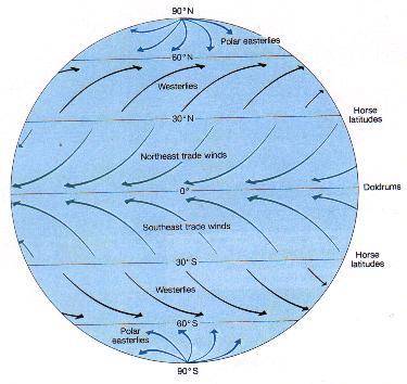 What is the main difference between the trade winds in the northern hemisphere and the trade winds i