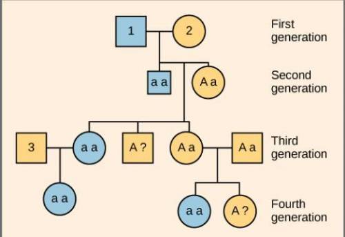An individual with genotype aa is crossed to an individual with genotype aa at the same genetic locu