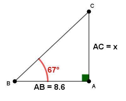 A, B & C form the vertices of a triangle. ∠ CAB = 90°,  ∠ ABC = 67° and AB = 8.6. Calculate the