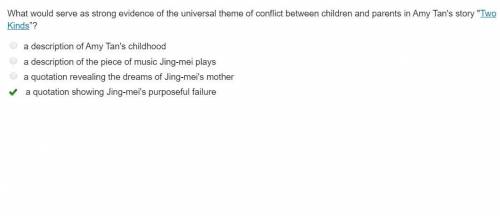 What would serve as strong evidence of the universal theme of conflict between children and parents