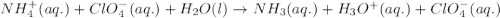 NH_{4}^{+}(aq.)+ClO_{4}^{-}(aq.)+H_{2}O(l)\rightarrow NH_{3}(aq.)+H_{3}O^{+}(aq.)+ClO_{4}^{-}(aq.)