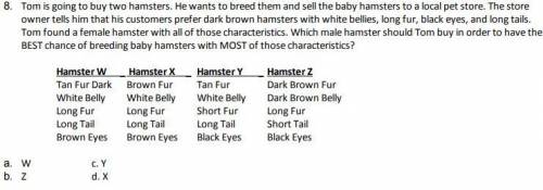 Tom is going to buy two hamsters. He wants to breed them and sell the baby hamsters to a local pet s