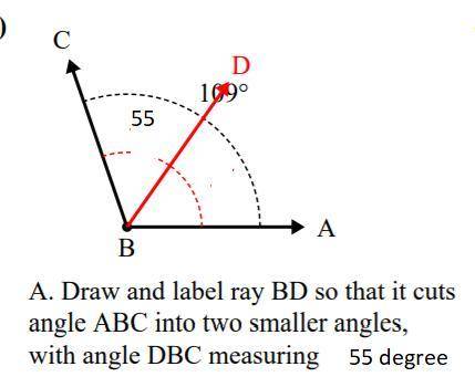 Joil wanted to cut the angle into two smaller angles draw and label ray BD to cut angle ABC into two