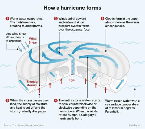 Sketch a cross section of a hurricane on chartA,provided below. Indicate the following:-types of clo