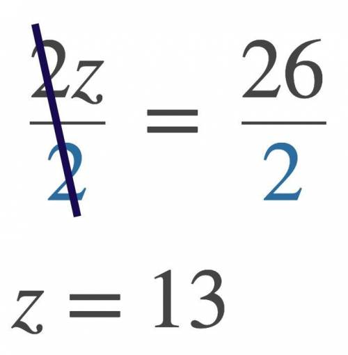 If 2z=26, what does z equal?? HELP PLZ