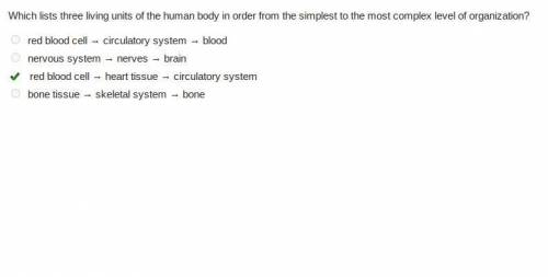 Which lists three living units of the human body in order from the simplest to the most complex leve