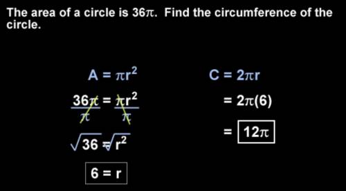 If the area of a circle is 36 pi what would the circumference of the circle be?