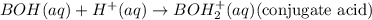 BOH(aq)+H^+(aq)\rightarrow BOH_2^{+}(aq)(\text{conjugate acid})