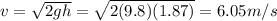 v=\sqrt{2gh}=\sqrt{2(9.8)(1.87)}=6.05 m/s