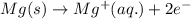 Mg(s)\rightarrow Mg^{+}(aq.)+2e^-