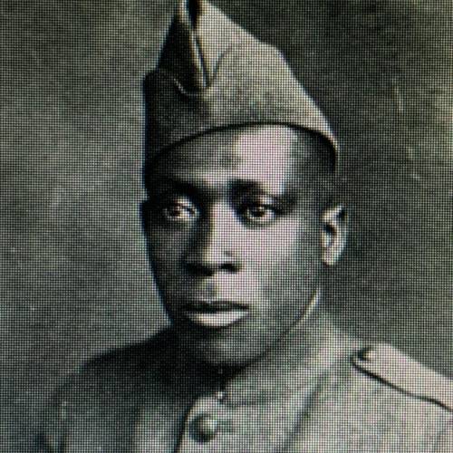 8. What was Henry Johnson's life like when he returned after the war?