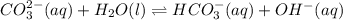 CO_3^{2-}(aq)+H_2O(l)\rightleftharpoons HCO_3^-(aq)+OH^-(aq)