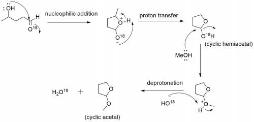 Propose a mechanism to account for the formation of a cyclic acetal from 4-hydroxypentanal and one e