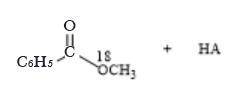 Draw the products formed when benzoic acid (C6H5CO2H) is treated with CH3OH having its O atom labele