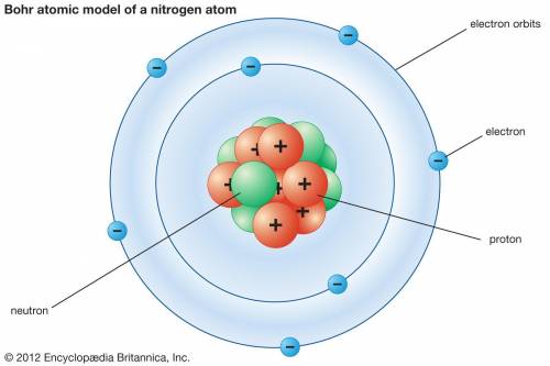 Where are the protons and neutrons located in an atom? orbitals or nucleus