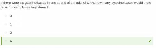 If there were six guanine bases in one strand of a model of DNA, how many cytosine bases would there