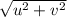 \sqrt{u^{2} +v^{2}  }