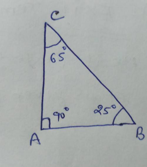 If angle B measures 25°, what is the approximate perimeter of the triangle below? A right triangle i