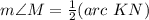 m\angle M=\frac{1}{2}(arc\ KN)