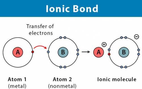 Ionic bonds form between oppositely charged
