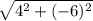 \sqrt{4^2+(-6)^2}