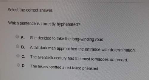Which sentence is correctly hyphenated?