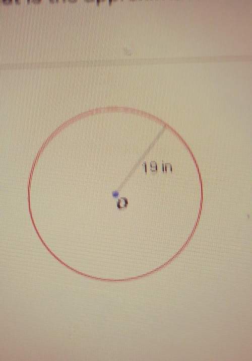 Hat is the approximate area of the circle shown below? a. 60 in 2b. 119 in 2