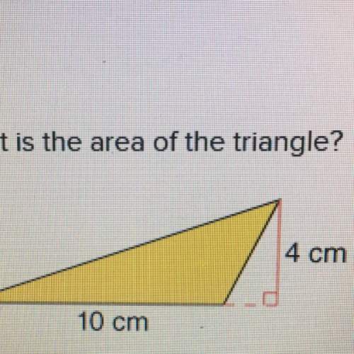 What is the area of the triangle  o 20cm o 10cm o 16cm o 17cm