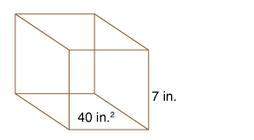 find the volume of the solid figure shown below. the area of the base is 40 square