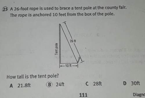 How tall is the tent poll? (model +answer options are in the image)i will ma