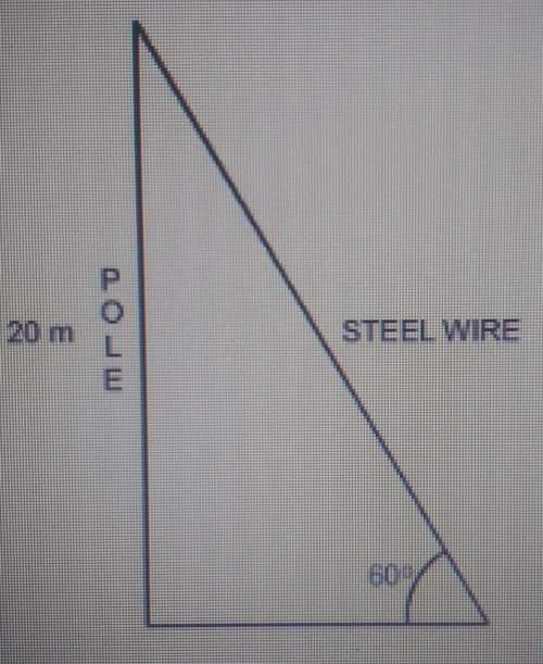 Awooden pole is 20 m high. a steel wire is tied to the top of the pole and fixed to the ground. if t