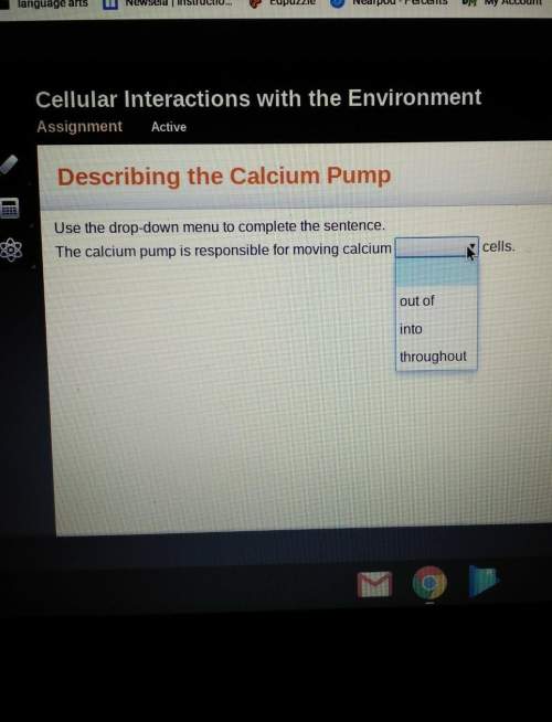 The clamcium pump is responsible for moving