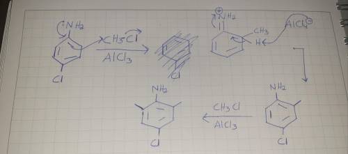 Draw the major monoalkylation product(s) you would expect to obtain from reaction of p-chloroaniline
