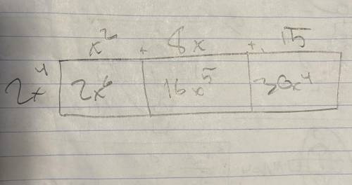 What is the are of a rectangle with the height of 2x^4 and a width of x^2+8x+15?
