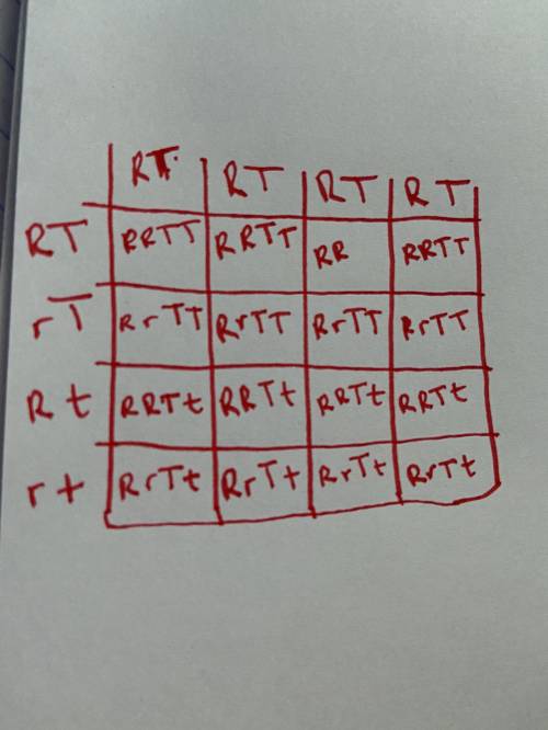 Punnet squares! Can anyone help I’m struggling!