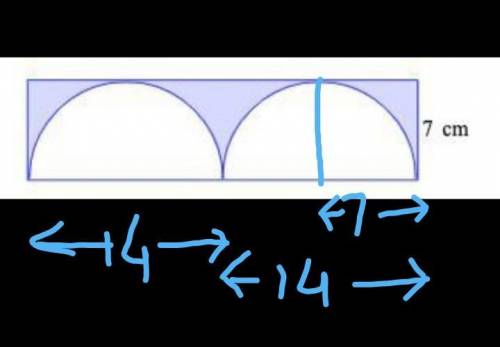 Please help! Two semicircles are placed in a rectangle. The width of the rectangle is 7 cm. Find the