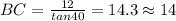 BC=\frac{12}{tan40}=14.3\approx 14