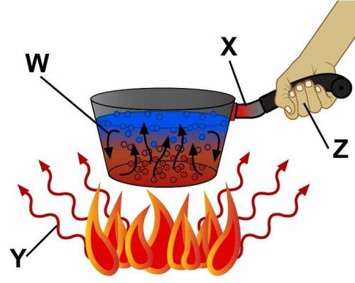 The diagram shows movement of thermal energy. At bottom a fire has red curved lines labeled Y with a