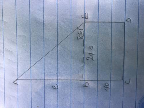 The distance between two buildings is 24.5m. Find the height of the taller building, if the angle of