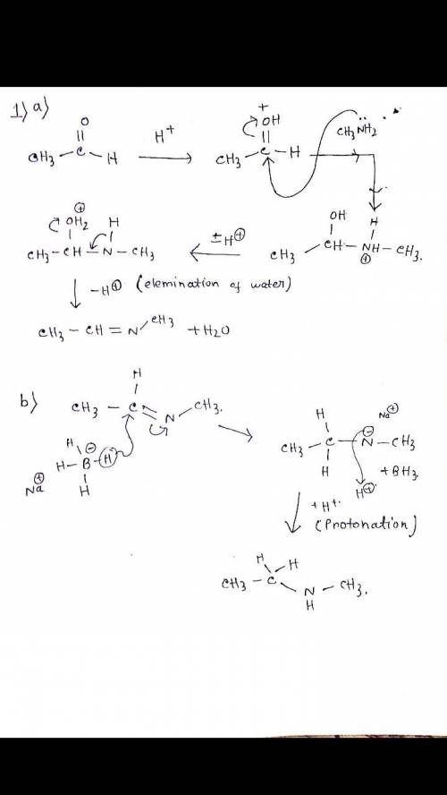 The reaction you actually perform in this experiment has some complexity in the mechanism (Solomons