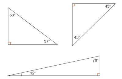 Vivian draws three right triangles in each figure she measures a pair of angles shown which conjectu